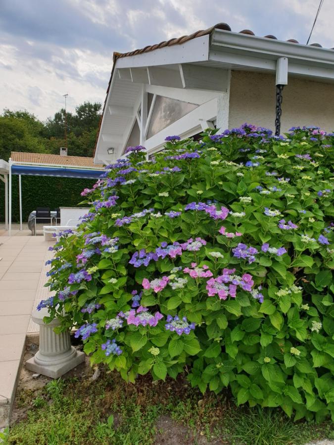 Plaisirs De Lege Villa Exterior photo